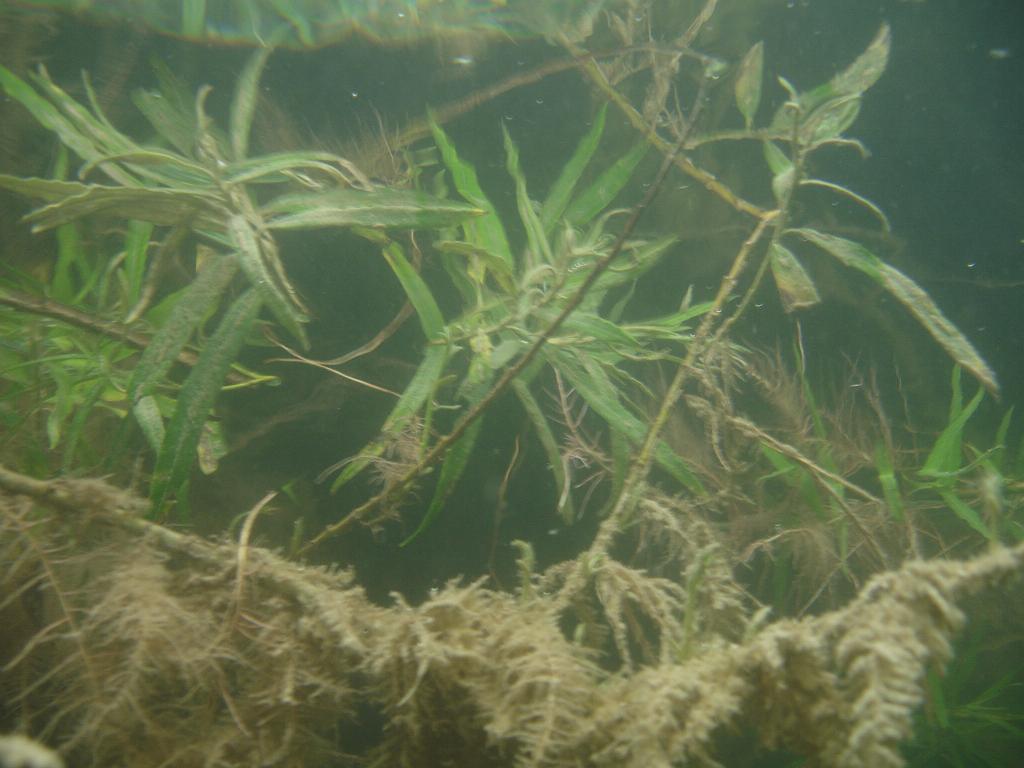 2008-06-29 11-12-33 H.JPG